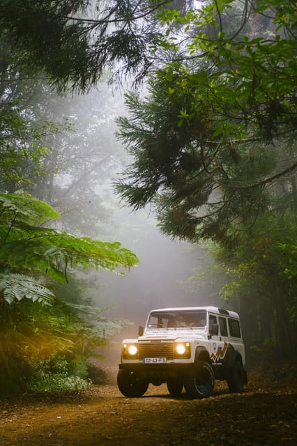 West: 4x4 Tour | Seixal Beach | Porto Moniz Natural Pools | - Fanal Forest: A Walk Through Madeira’s Enchanting Laurissilva