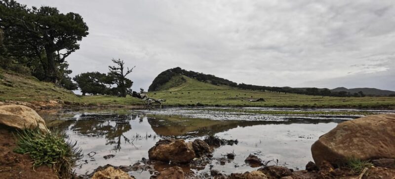 West: 4x4 Tour | Seixal Beach | Porto Moniz Natural Pools | - Cross South to Funchal with Diverse Landmarks