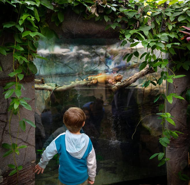 West Berkshire,UK: The Living Rainforest Centre Entry Ticket - Discover the Living Rainforest Environment