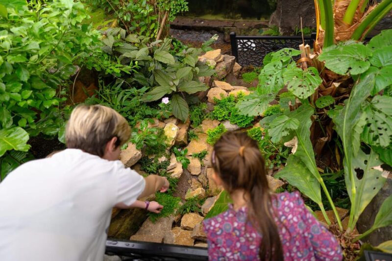 West Berkshire,UK: The Living Rainforest Centre Entry Ticket - Learning About Rainforest Interconnections