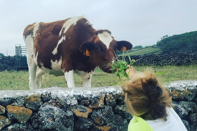 West Coast Van Tour (Half Day) | Terceira Island - Weather Considerations and Tour Flexibility