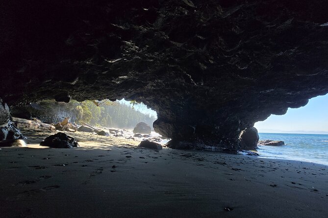 West Coast Wildlife Rainforest Waterfall and Beaches - Logistics and Group Size