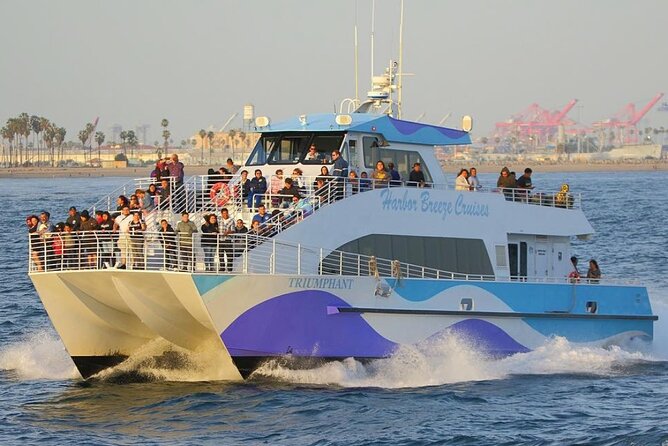 West Harbor LA Whale and Dolphin Watching Cruise - The Vessel: Comfort and Eco-Friendliness