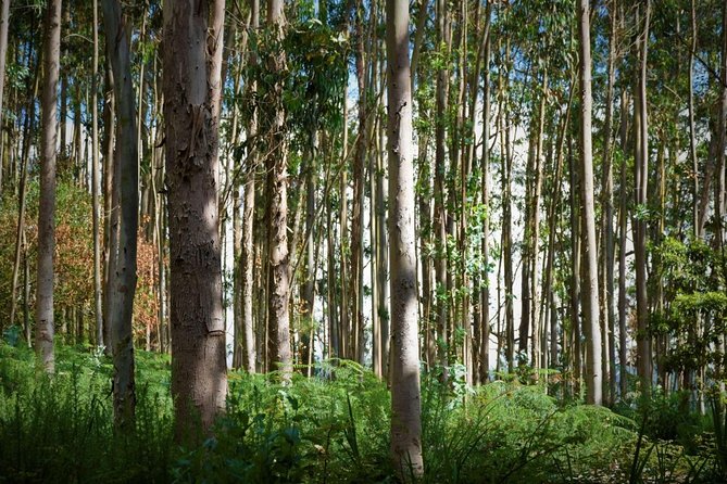 West is the Best - Soaking in the Views from Cabo Girao