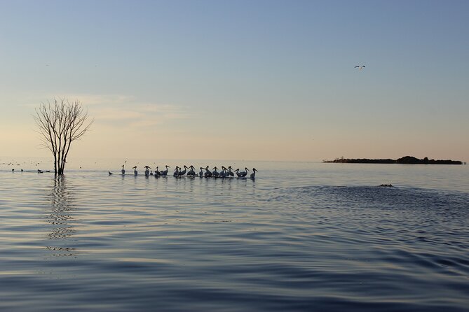 West Islands & Eagle Bluff Lighthouse Cruise - Sightseeing at Eagle Bluff Lighthouse and Peninsula State Park