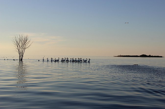 West Islands & Eagle Bluff Lighthouse Cruise - The Captains Narration and Local Insights