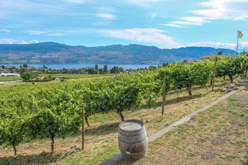 West Kelowna: Afternoon Sightseeing and Wine Tour - Wineries Near Mount Boucherie and the Extinct Volcano