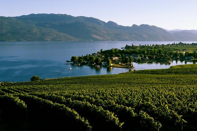 West Kelowna Wine Tour - Classic - 4 Wineries - Key Points