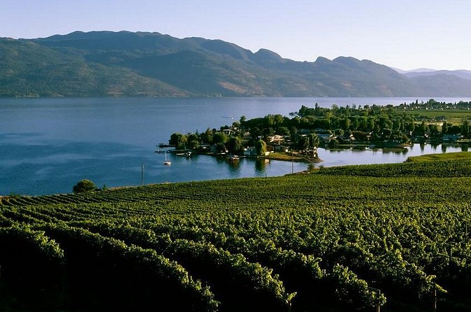 West Kelowna Wine Tour - Classic - 4 Wineries - Rollingdale Winery’s Intense Flavors and Small-Scale Charm