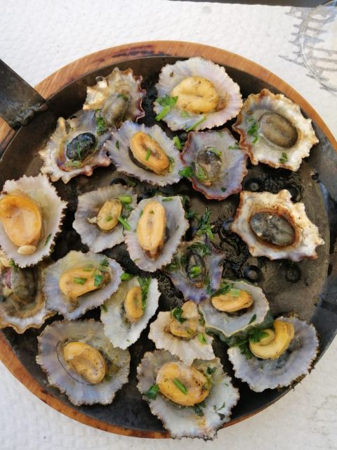 West Madeira:, Laurel Forest, Waterfall, Rock Pools, Walk - Exploring Porto Monizs Lava Rock Pools