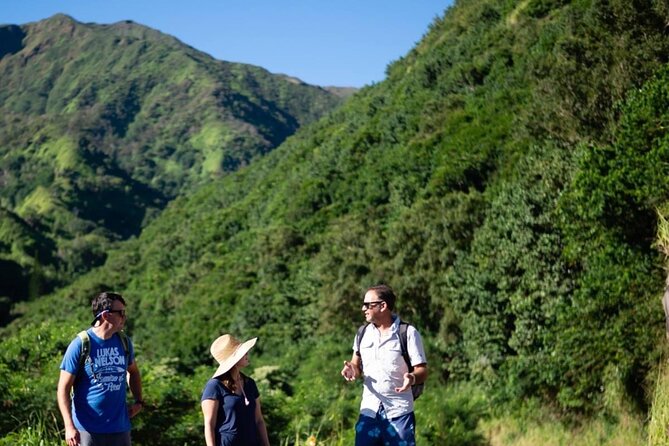 West Maui Adventure Tour with Private Guide - Discover Maui’s West Coast with a Private Guide