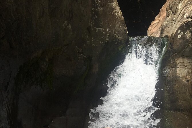 West Maui Adventure Tour with Private Guide - Optional Visit to Iao Valley and the Iao Needle