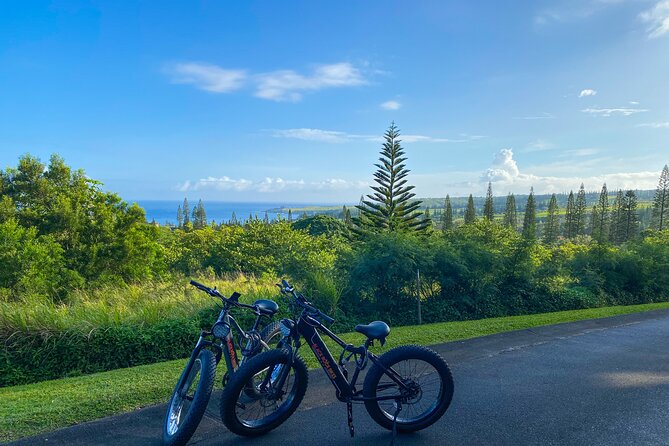 West Maui Electric Bike Rentals - Highlights of the Maui Route and Scenic Stops