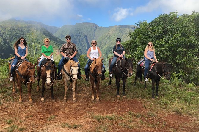 West Maui Mountain Waterfall and Ocean Tour via Horseback - The Petting Zoo Experience and Animal Encounter