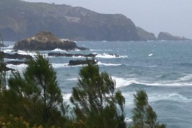 West Maui Mountain Waterfall and Ocean Tour via Horseback - Expert Guides and Personalized Service