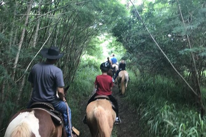 West Maui Mountain Waterfall and Ocean Tour via Horseback - Practical Tips for Participants