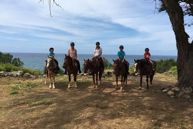West Maui Mountain Waterfall and Ocean Tour via Horseback - Customer Satisfaction and Review Highlights