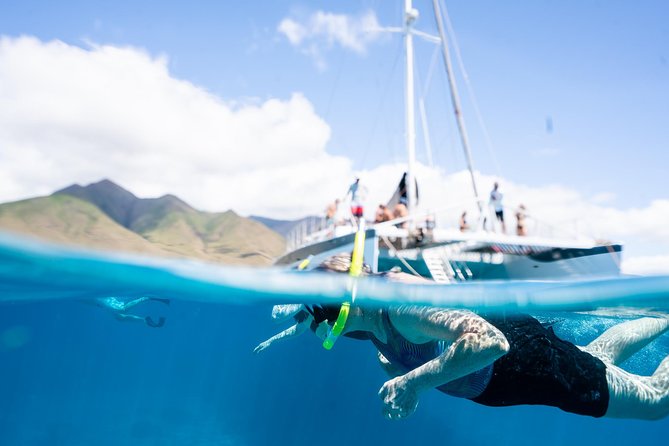 West Maui Snorkel & Sail from Ma'alaea Harbor - Key Points