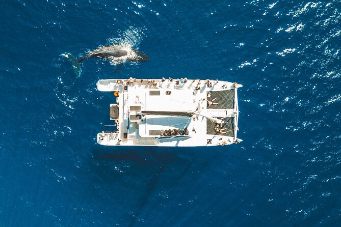 West Maui Snorkel & Sail from Ma'alaea Harbor - The Sailing Vessel and Crew’s Expertise