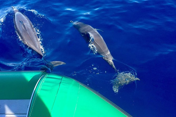 West Maui Snorkeling Experience by Boat from Ka'anapali - Key Points