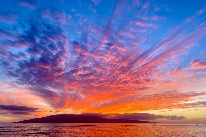 West Maui Sunset Whale Watch - The Pink Boat: A Photographers Dream