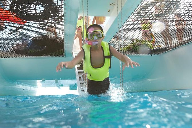 West Oahu Green Sea Turtle and Dolphin Snorkel Sail with Lunch - Responsible Wildlife Viewing and Conservation