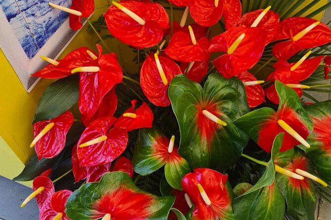 West of Madeira Private Half-Day Tour - Key Points