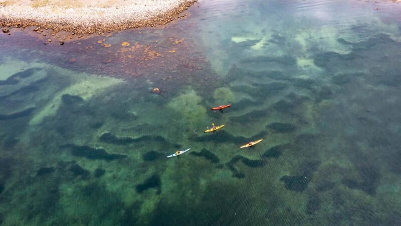 West Sweden: Best of the West - Learning About Local Flora, Fauna, and Culture