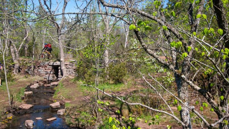 West Sweden: Mountainbike Monday - How This Tour Compares to Other West Sweden Experiences