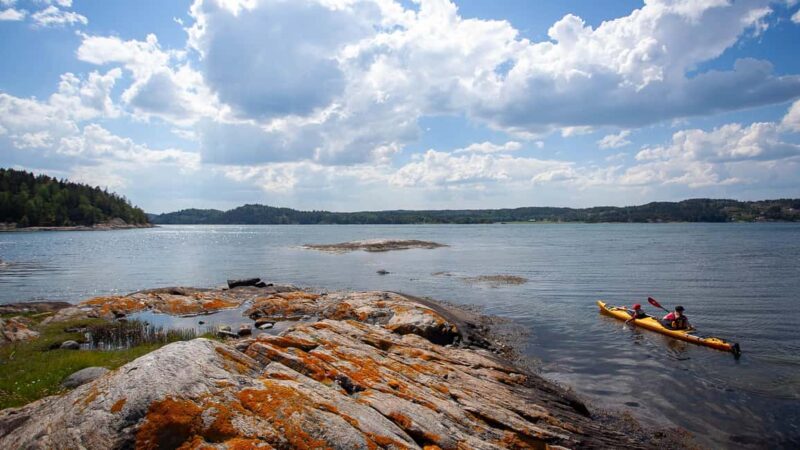 West Sweden: Paddle with seals - Calm Waters of Havstensfjord and Natural Habitat