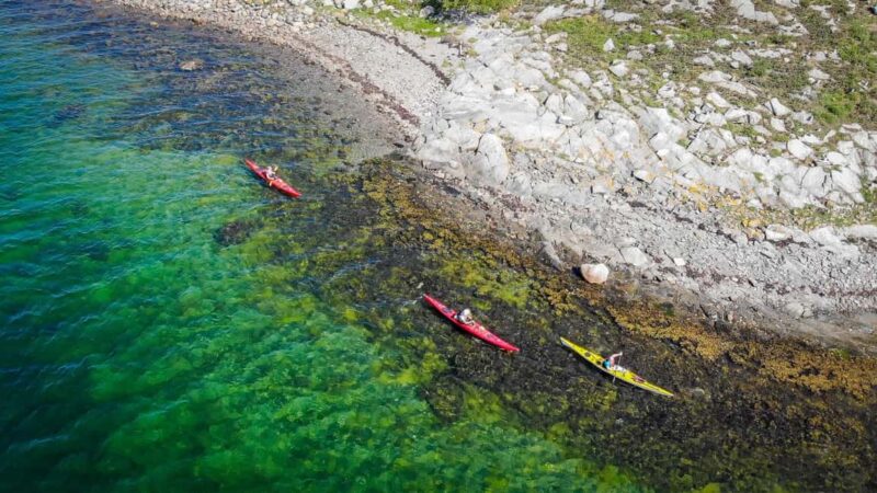 West Sweden: Paddle with seals - The Lunch and Fika on an Island along the Route