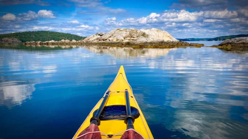 West Sweden: Paddle with seals - Logistics, Guides, and Booking Flexibility