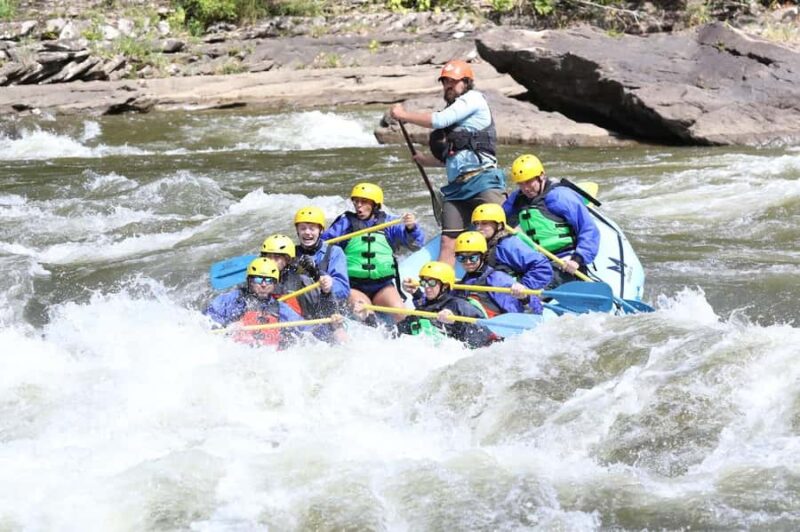 West Virginia: Lower New River Full-Day Rafting Adventure - Thrilling Whitewater Rafting on the Lower New River in West Virginia