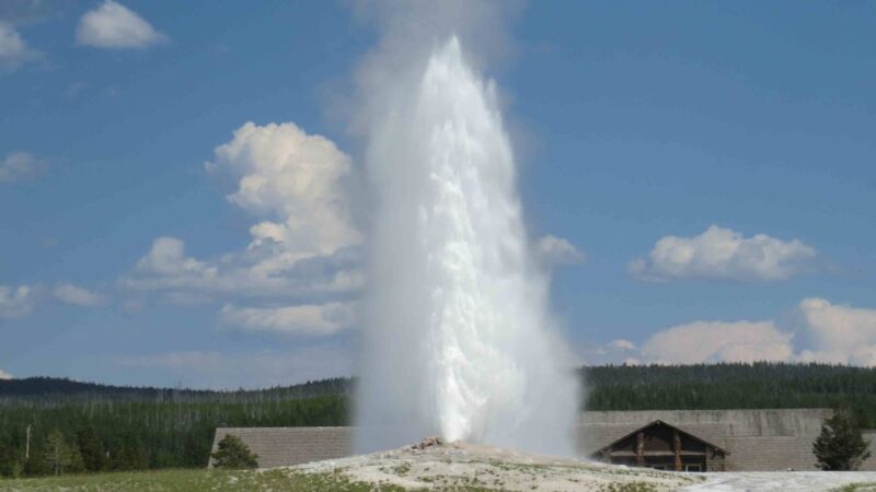West Yellowstone: Yellowstone Day Tour Including Entry Fee - Marveling at the Grand Canyon of Yellowstone’s Waterfalls