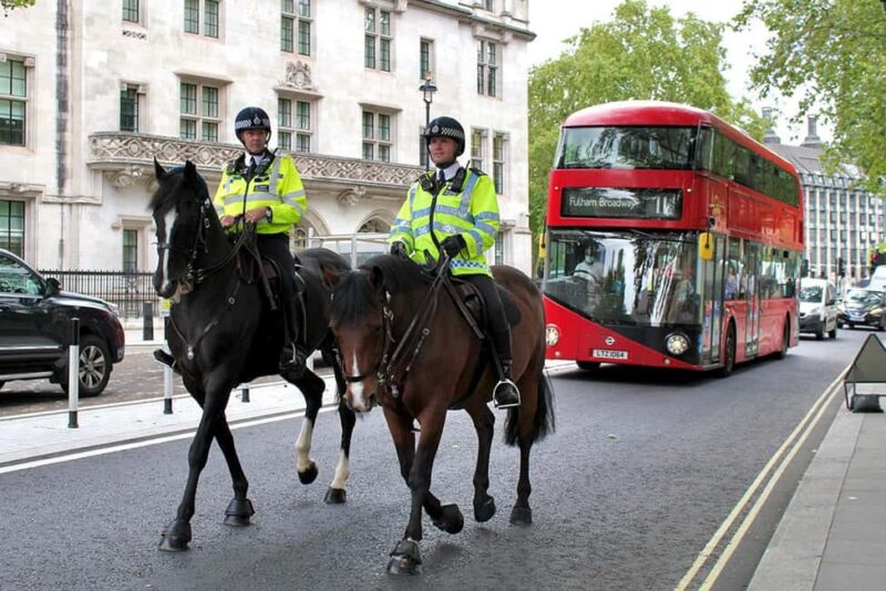 Westminster City Tour with Changing of the Guard - Witnessing the Changing of the Guard from Prime Viewing Spots