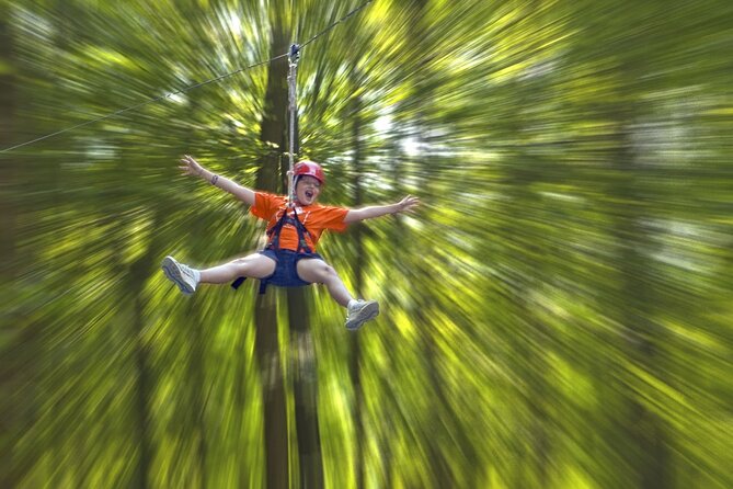 Wetland Zip Tour - Experience Virginia Beach Wetlands with a Zipline Adventure