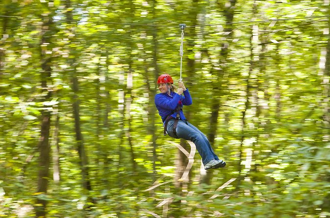 Wetland Zip Tour - Guides and Safety Protocols