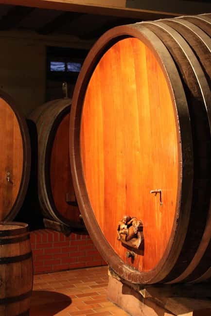 Wettolsheim: Organic Wine Tasting and Cellar Visit - Wettolsheim: Organic Wine Tasting and Cellar Visit — An Authentic Alsatian Experience