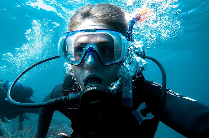 Whale and Dive Combo Tour in Los Cabos - Weather and Cancellation Policies