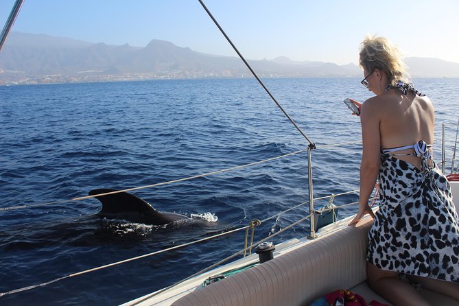 Whale and Dolphin Small Group Sailing from Tenerife South - Meeting Point and Departure Details at Puerto Colón