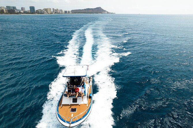 Whale and Dolphin Watch Boat Cruise in Oahu - Who Should Choose This Whale and Dolphin Watch Tour?