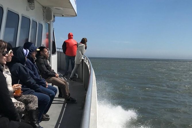 Whale and Dolphin Watching Cruise from Cape May - The Naturalist Guides: Knowledge and Engagement