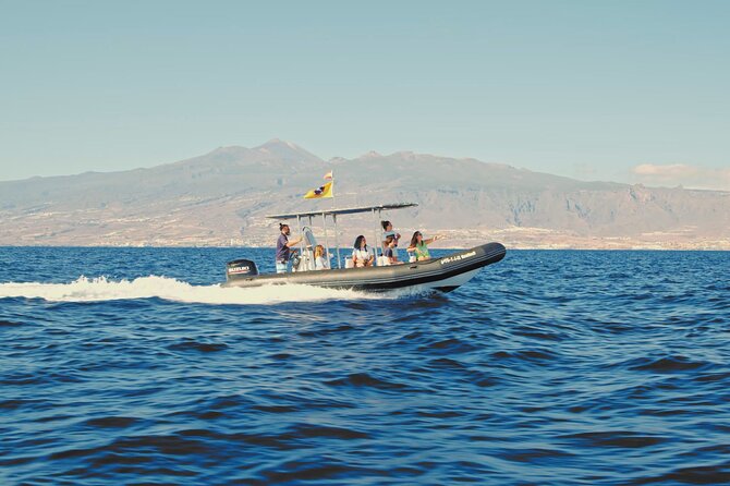 Whale and Dolphin Watching EcoAdventure in Tenerife - Marine Life Education and Conservation Efforts