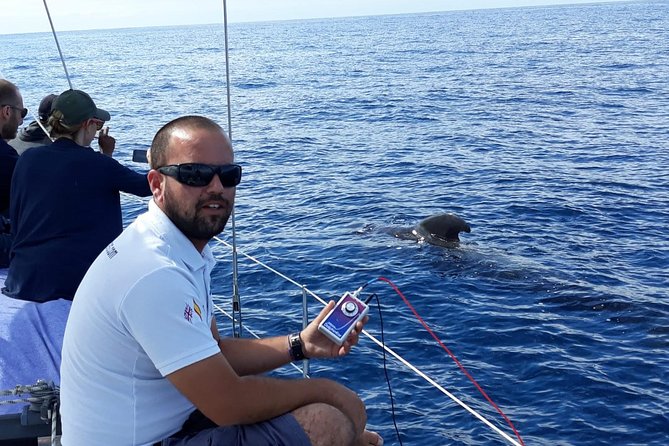 Whale and Dolphin Watching Sailing Boat with Drinks, Snacks and Swimming Time - Meeting and Returning to Costa Adeje