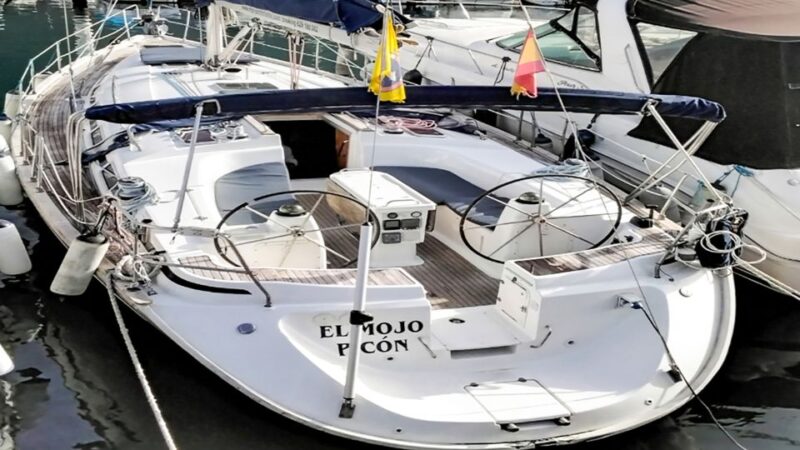 Whale and Dolphin Watching Sailing Tour Los Gigantes (3H) - Swimming and Snorkeling in the Crystalline Cove