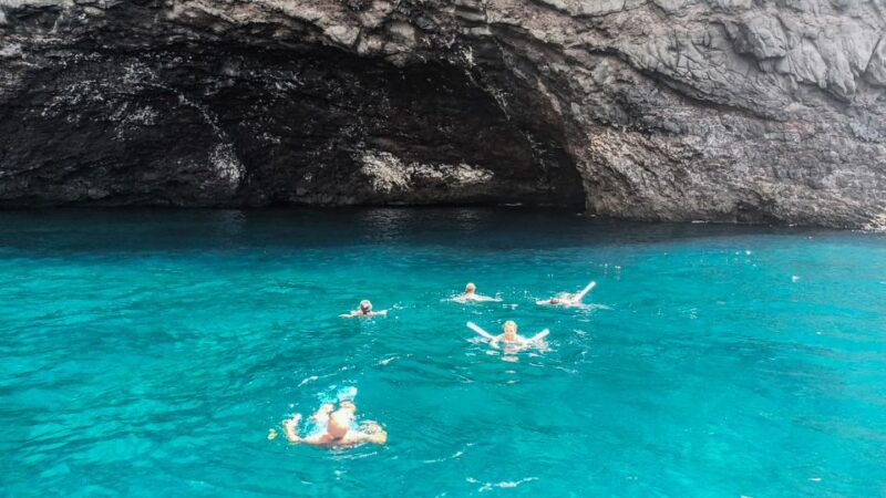 Whale and Dolphin Watching Sailing Tour Los Gigantes (3H) - The Skipper Antonio and the Crew’s Expertise