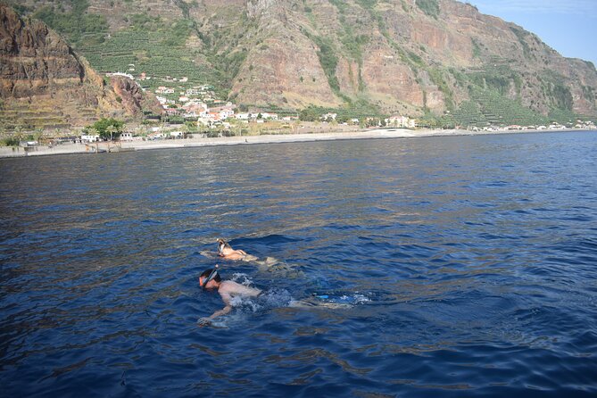 Whale and Dolphin Watching Tour in Madeira - Weather Flexibility and Refund Policy