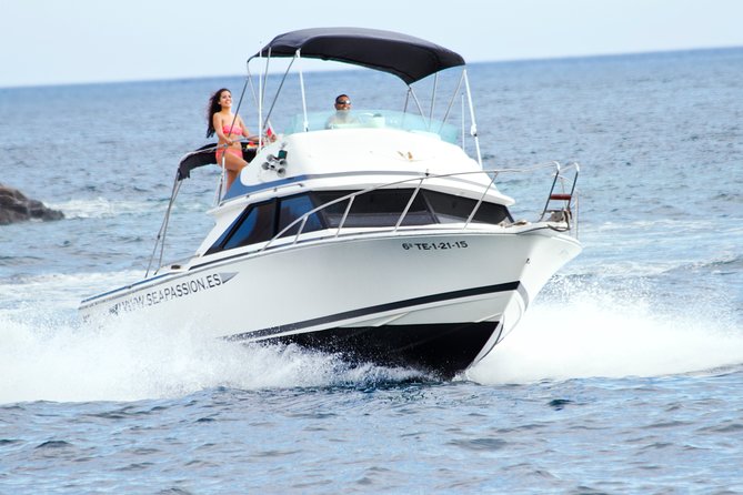 Whale and dolphin watching tour Los Gigantes and Masca in small groups - Discover Tenerifes Marine Life and Coastal Wonders with the Whale and Dolphin Watching Tour