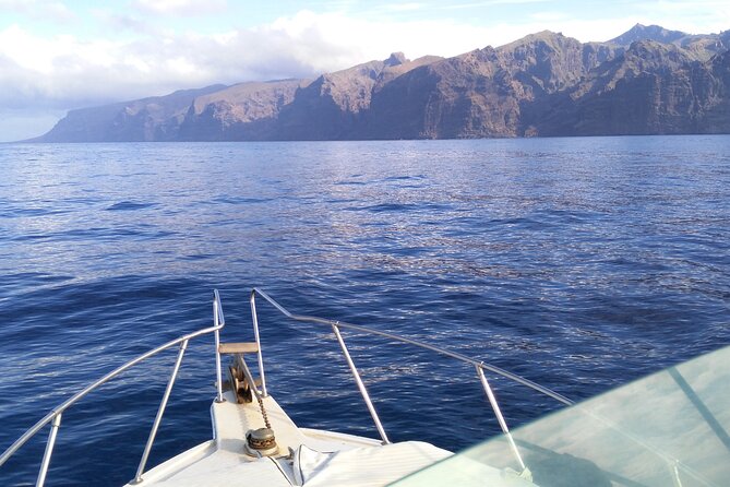 Whale and dolphin watching tour Los Gigantes and Masca in small groups - Flexibility and Cancellation Policies
