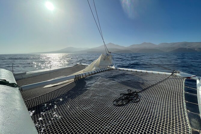 Whale & Dolphin Observation on Silent Catamaran with Hydrophone - Discover the Eco-Friendly Whale & Dolphin Observation on Lanzarotes Silent Catamaran